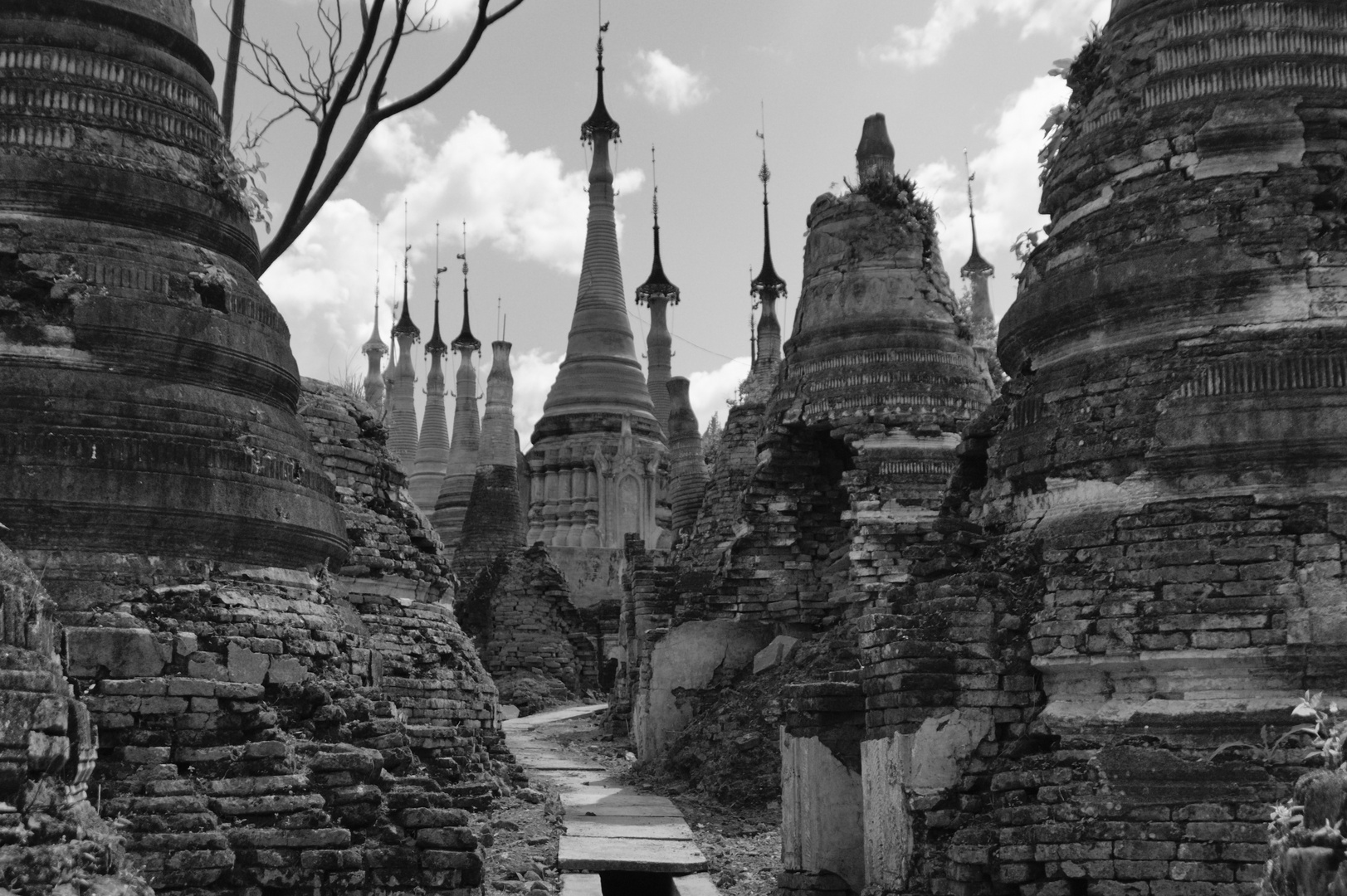  Buddhist Cemetery