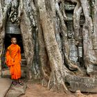 Buddhist monk at Angkor Wat