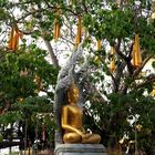 Buddhist Temple Thailand