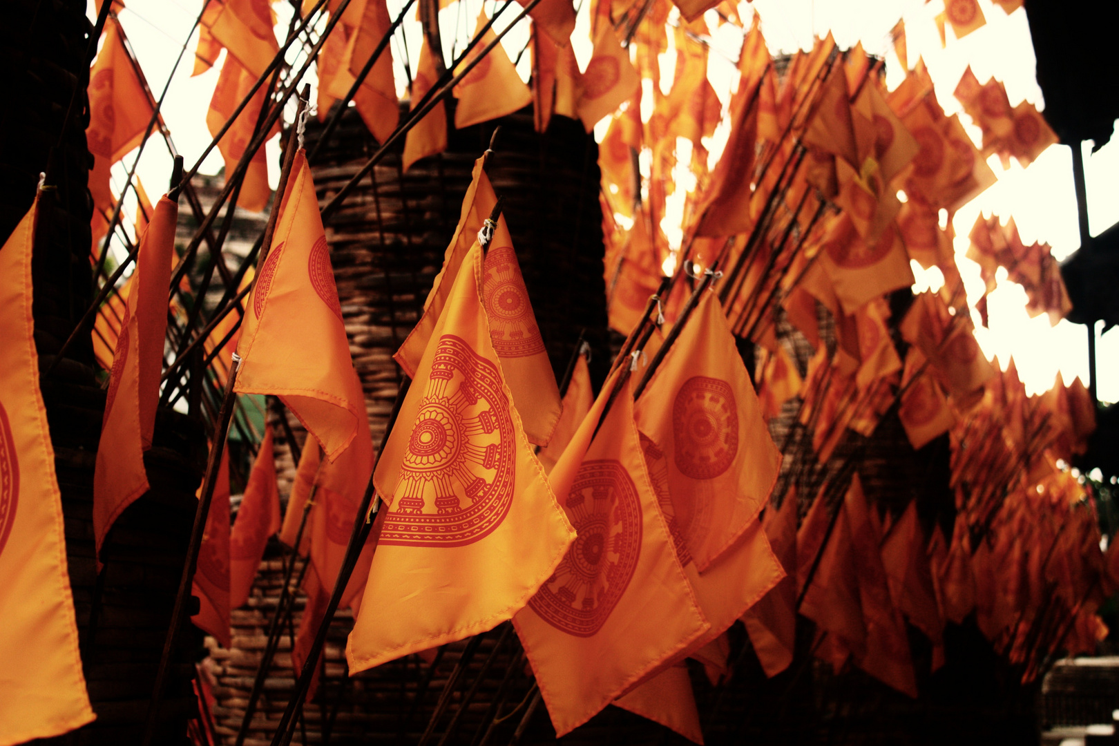 Buddhist wheel of life