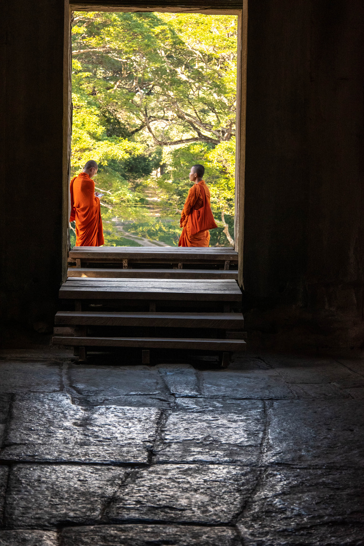 Buddhistische Mönche in Ankor Wat Kambodscha