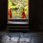 Buddhistische Mönche in Ankor Wat Kambodscha