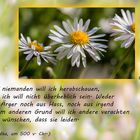 buddhistische Weisheiten (15)