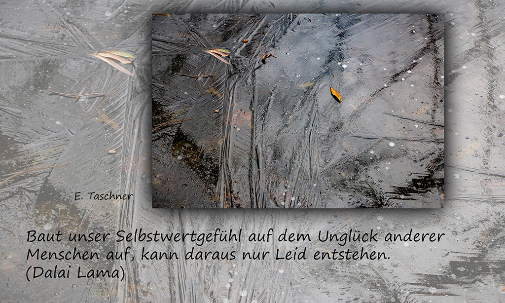 Buddhistische Weisheiten #21