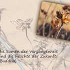 Buddhistische Weisheiten #27