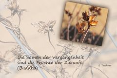 Buddhistische Weisheiten #27