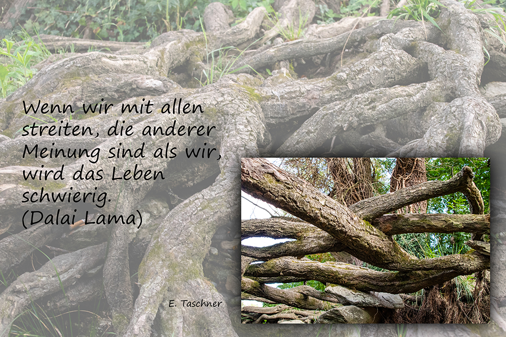 Buddhistische Weisheiten #28