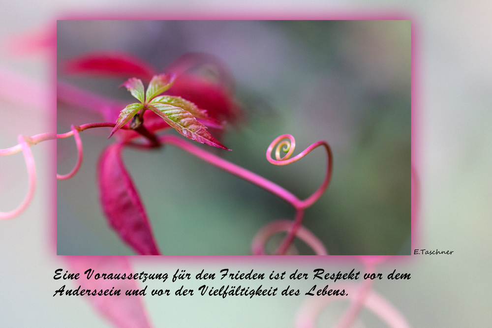 buddhistische Weisheiten (3)