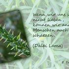 Buddhistische Weisheiten #30