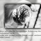 Buddhistische Weisheiten #31