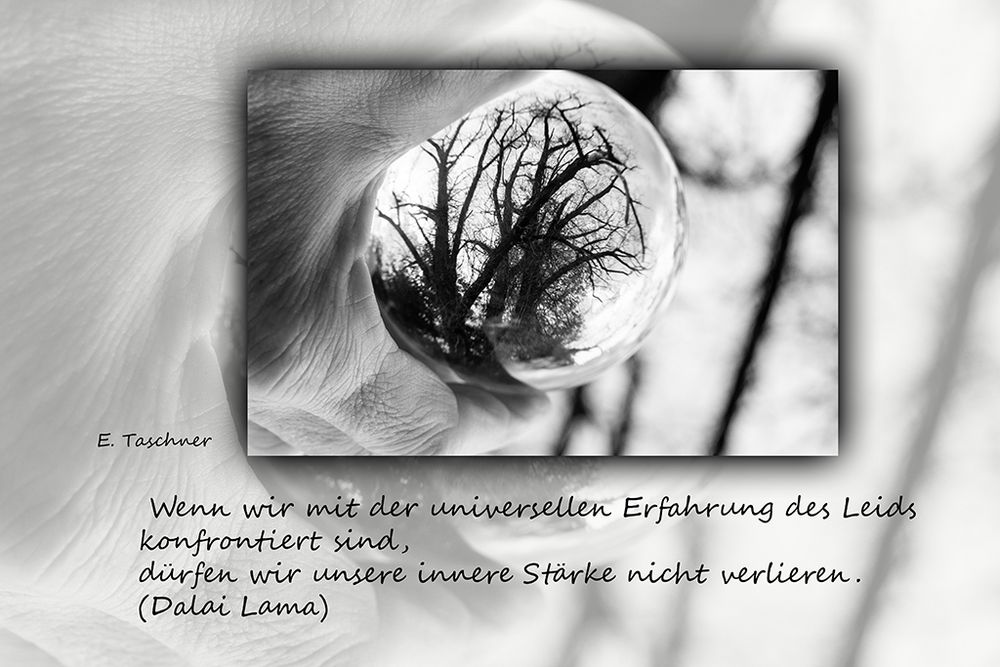 Buddhistische Weisheiten #31