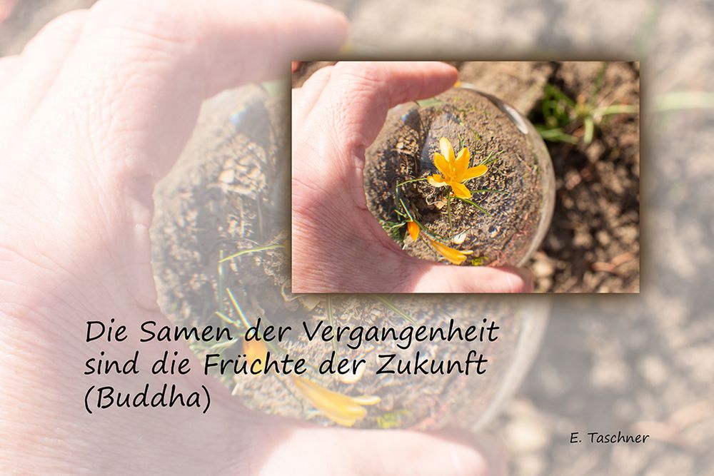 Buddhistische Weisheiten #32