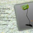 Buddhistische Weisheiten #33