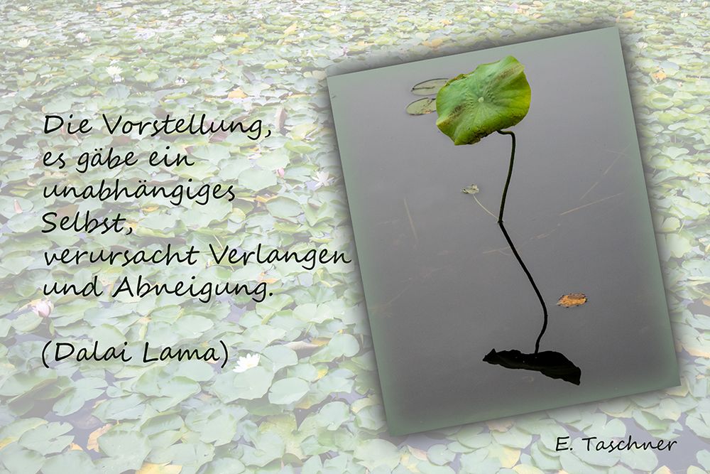 Buddhistische Weisheiten #33