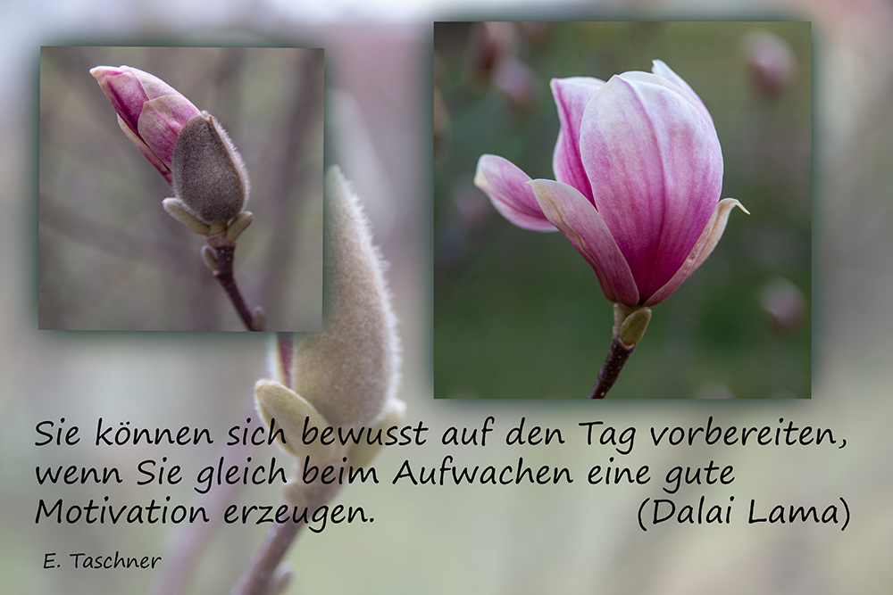 Buddhistische Weisheiten _ 34