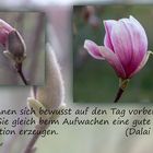 Buddhistische Weisheiten _ 34