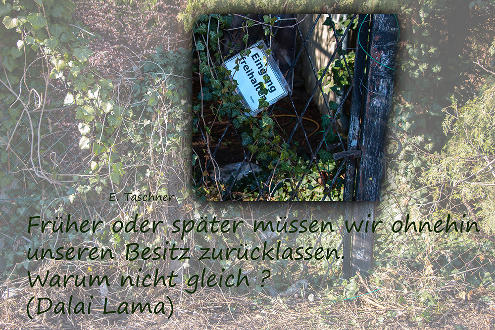 Buddhistische Weisheiten _ 35