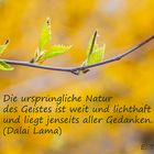 Buddhistische Weisheiten _ 35