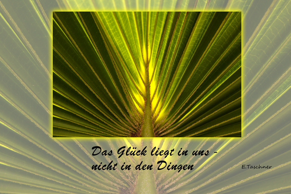 buddhistische Weisheiten (6)