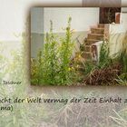 Buddhistische Weisheiten#23