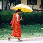 Buddhistischer Mönch auf Sri Lanka