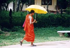 Buddhistischer Mönch auf Sri Lanka