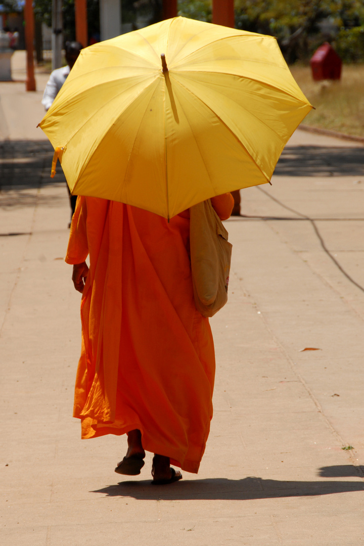 Buddhistischer Mönch