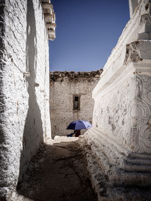 Buddhistisches Leh - Zwischen den Stupas