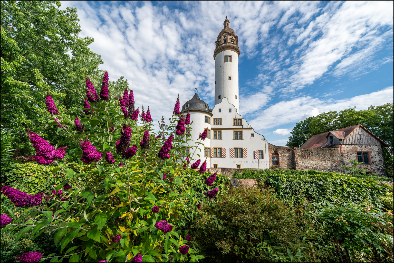 Buddleia vor dem Schloss