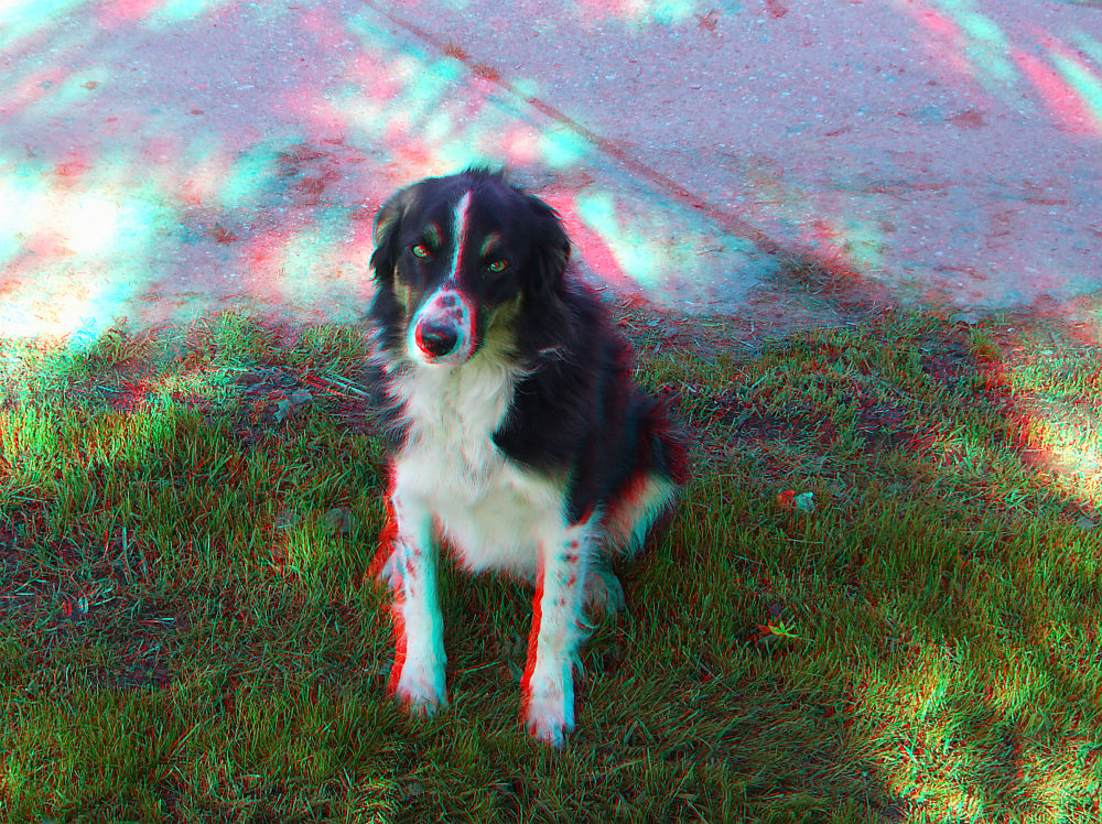 Buddy (3D-Anaglyphe !)