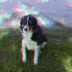 Buddy (3D-Anaglyphe !)