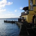 Buddy's Reef (Bonaire)