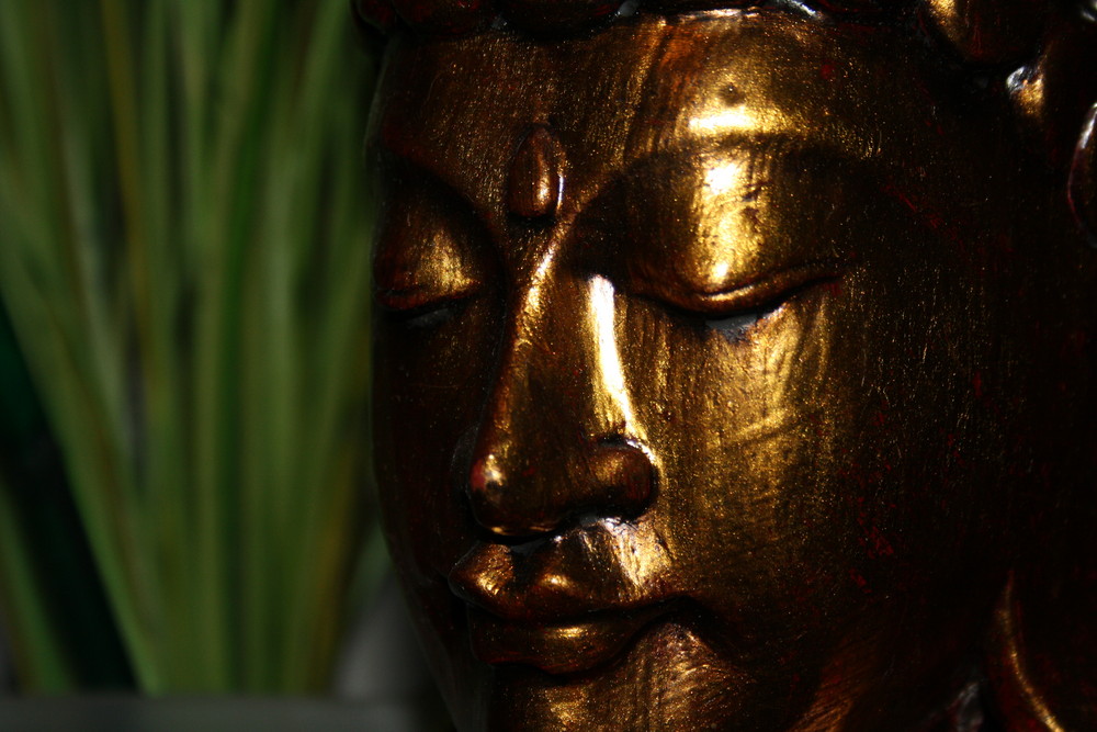 budha