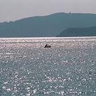 Budva sea and coast