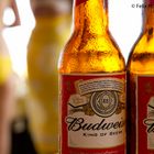 Budweiser