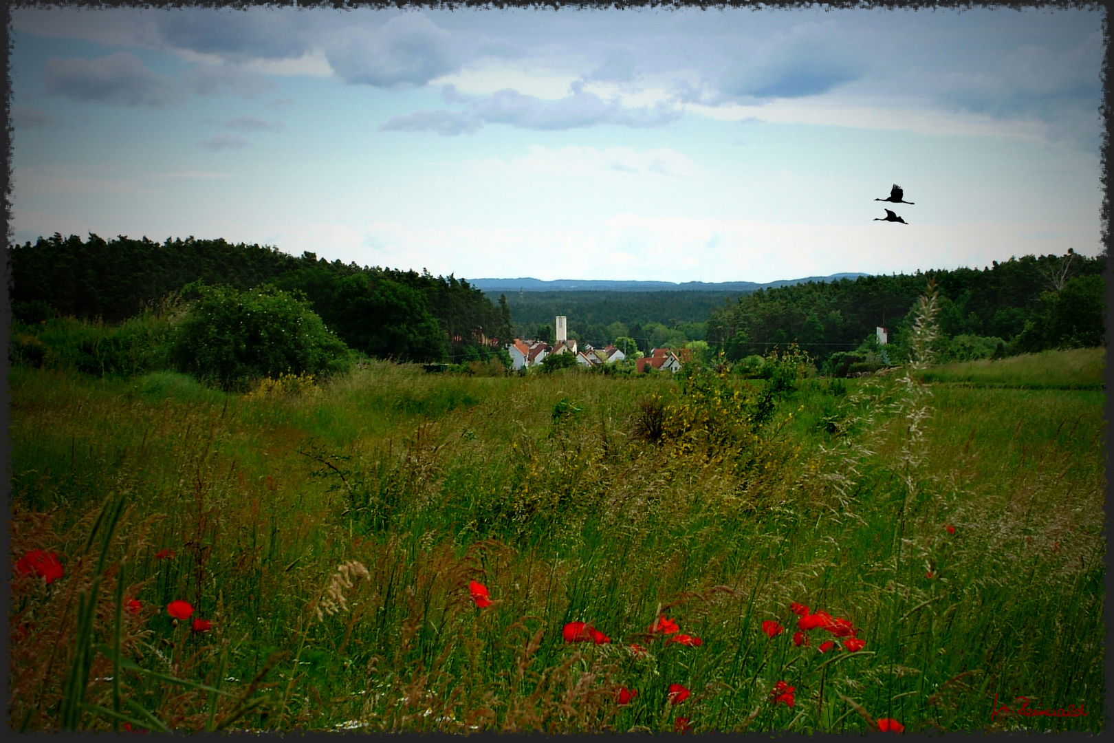 Büchenbach - mal von einer anderen Seite