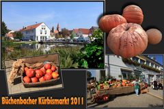 Büchenbacher Kürbismarkt 2011