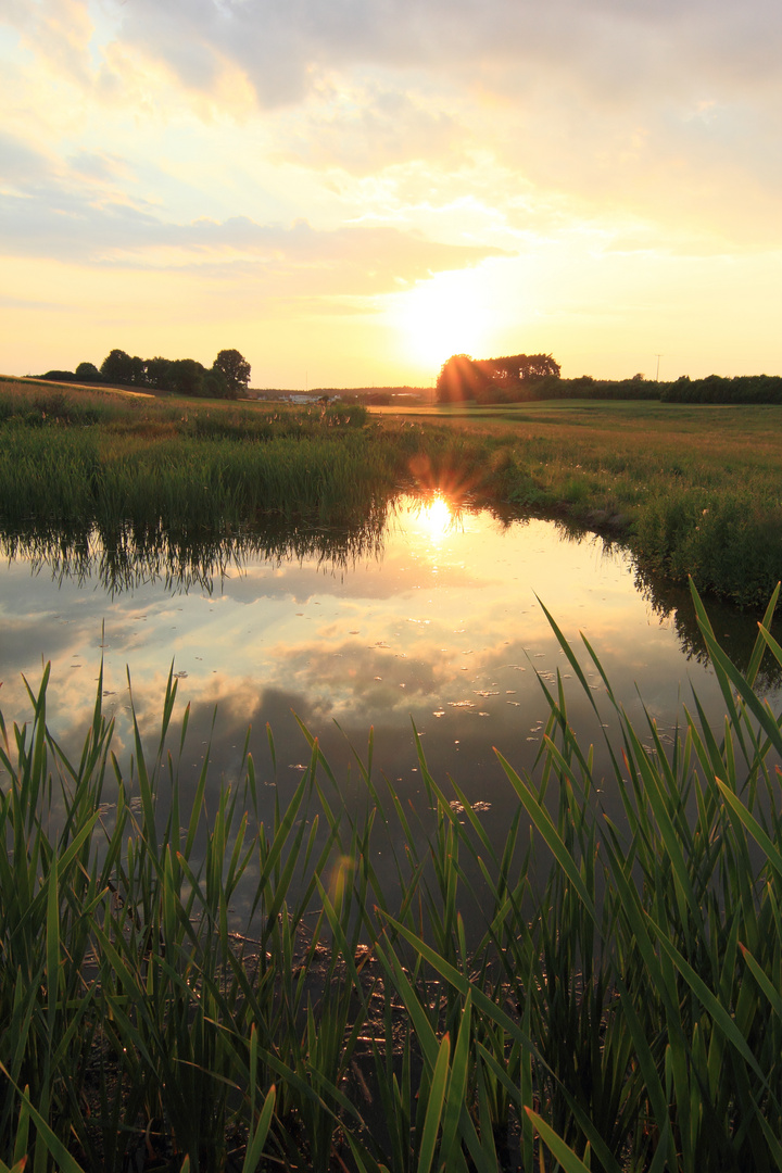 Büchenbacher Weiher im Sonnenuntergang Licht