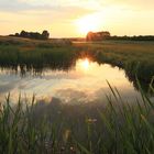 Büchenbacher Weiher im Sonnenuntergang Licht