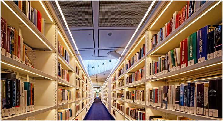 Bücher mit Durchblick