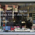 Bücher-Raumspiegelung