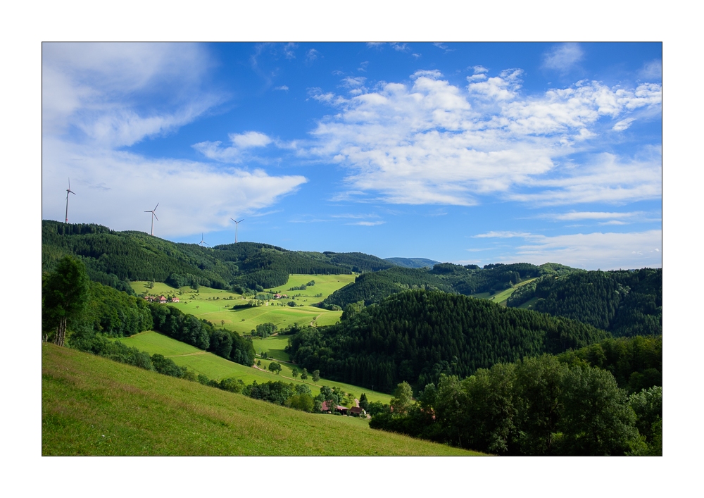 Bücherntal in Mühlenbach/Schwarzwald