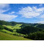 Bücherntal in Mühlenbach/Schwarzwald