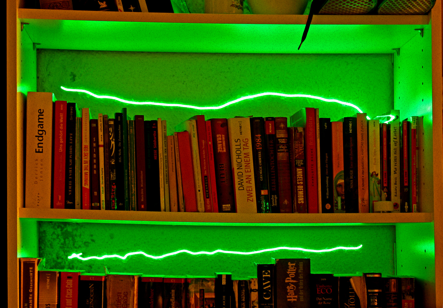 Bücherregal - Model Neon