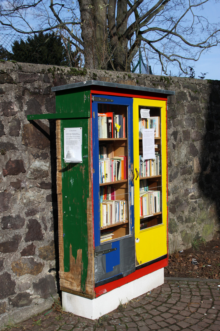 Bücherschrank Foto & Bild | baum, grün, gelb Bilder auf fotocommunity