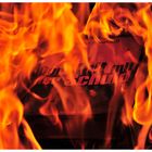 Bücherverbrennung: Der Kult mit der Schuld