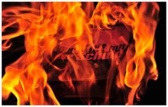Bücherverbrennung: Der Kult mit der Schuld