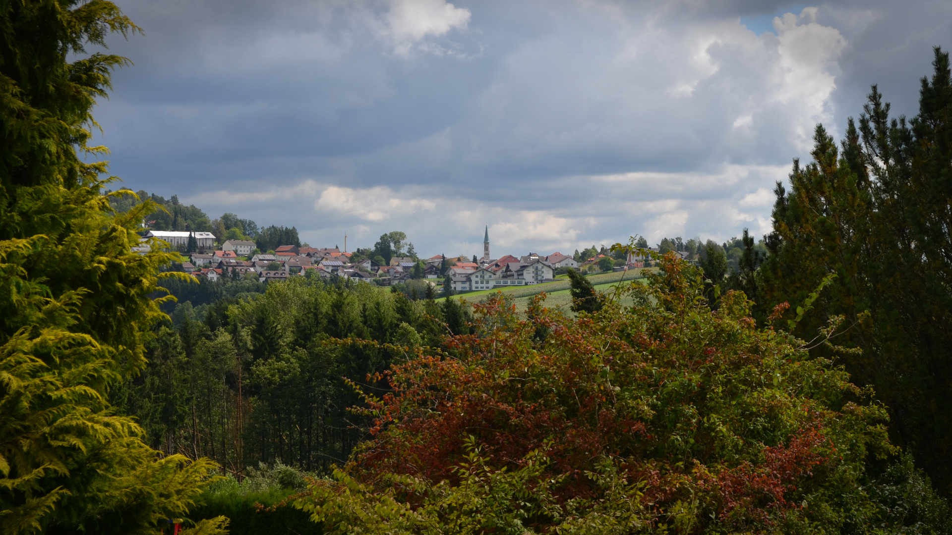 Büchlberg im Herbst