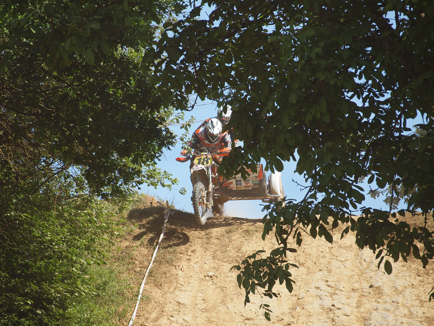 Bück dich da kommt ein Baum