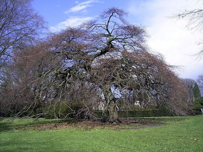 Bückeburg, Schloßpark